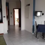 Daviolamei Blu